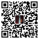 大领航智能装备（深圳）有限公司